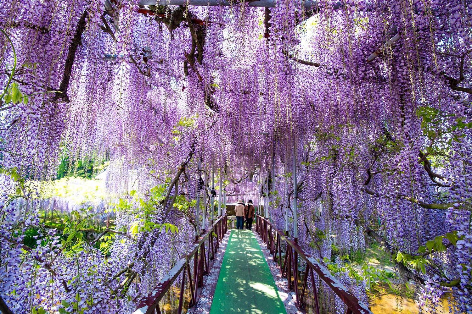 西寒多神社