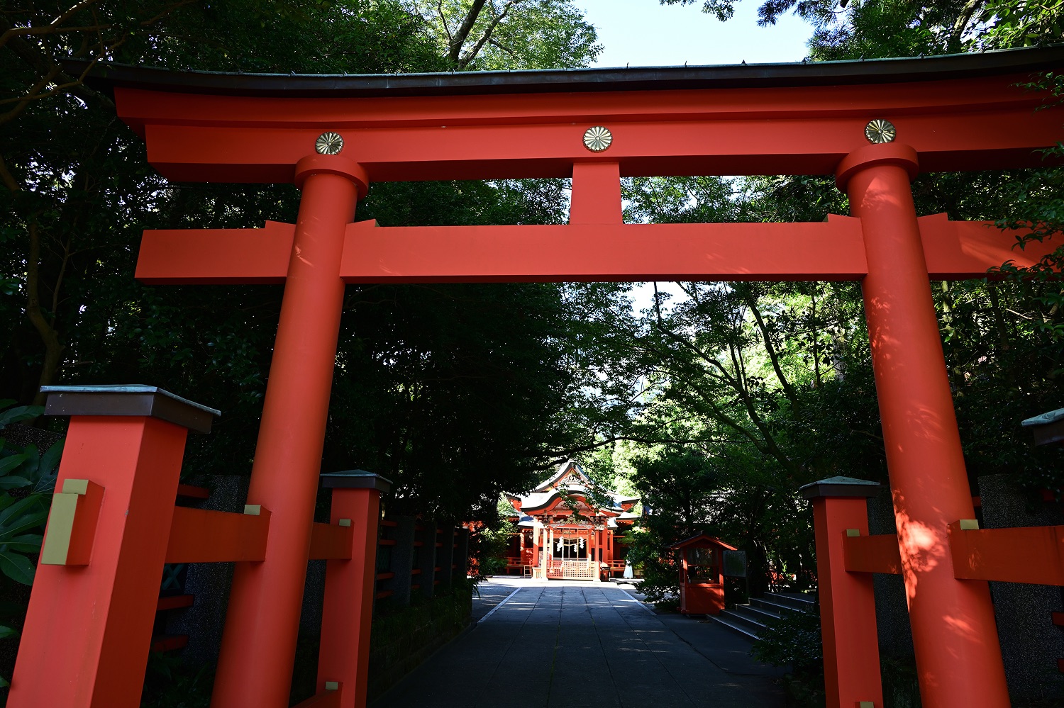 枚聞神社