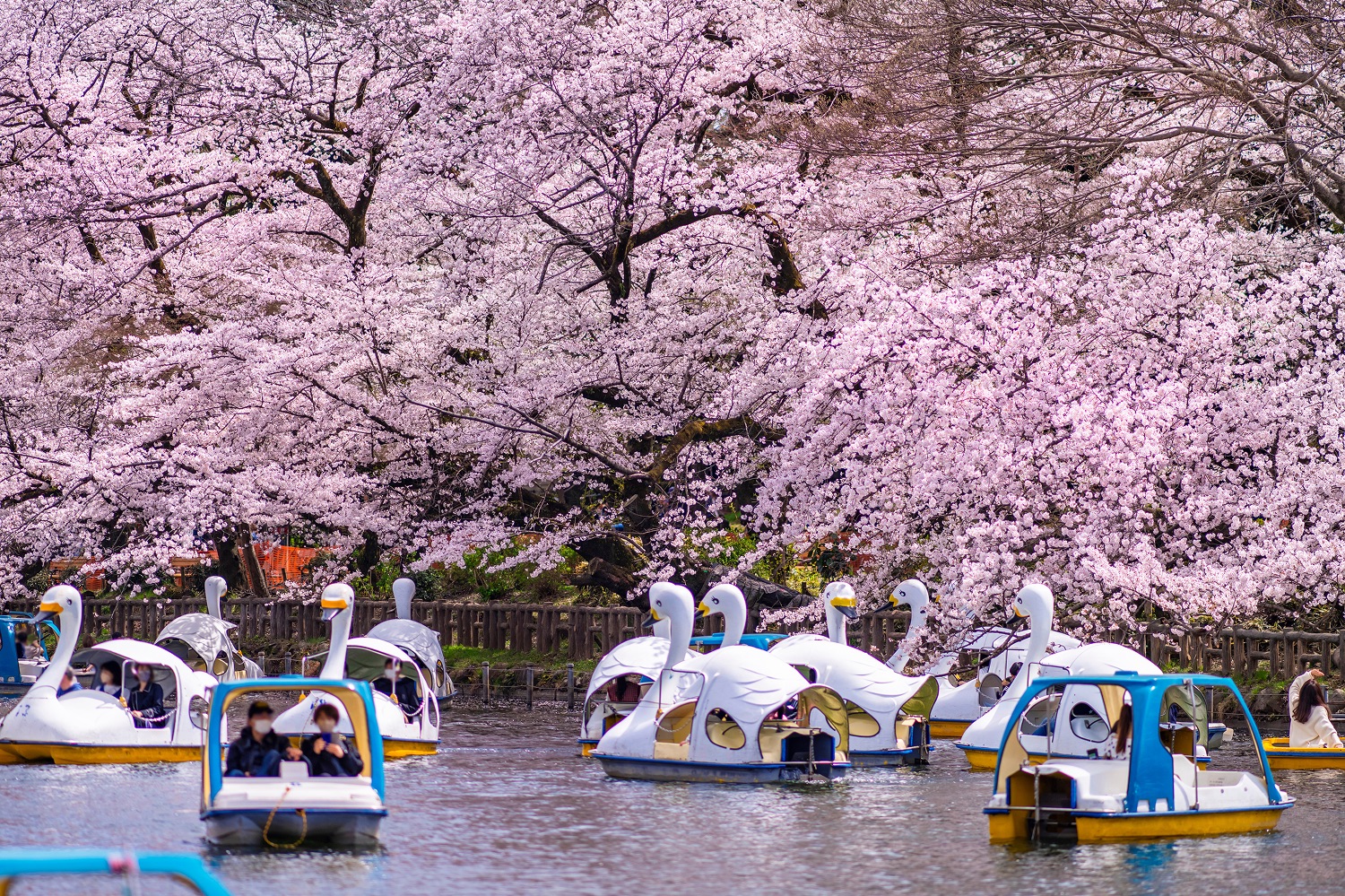 井之頭恩賜公園