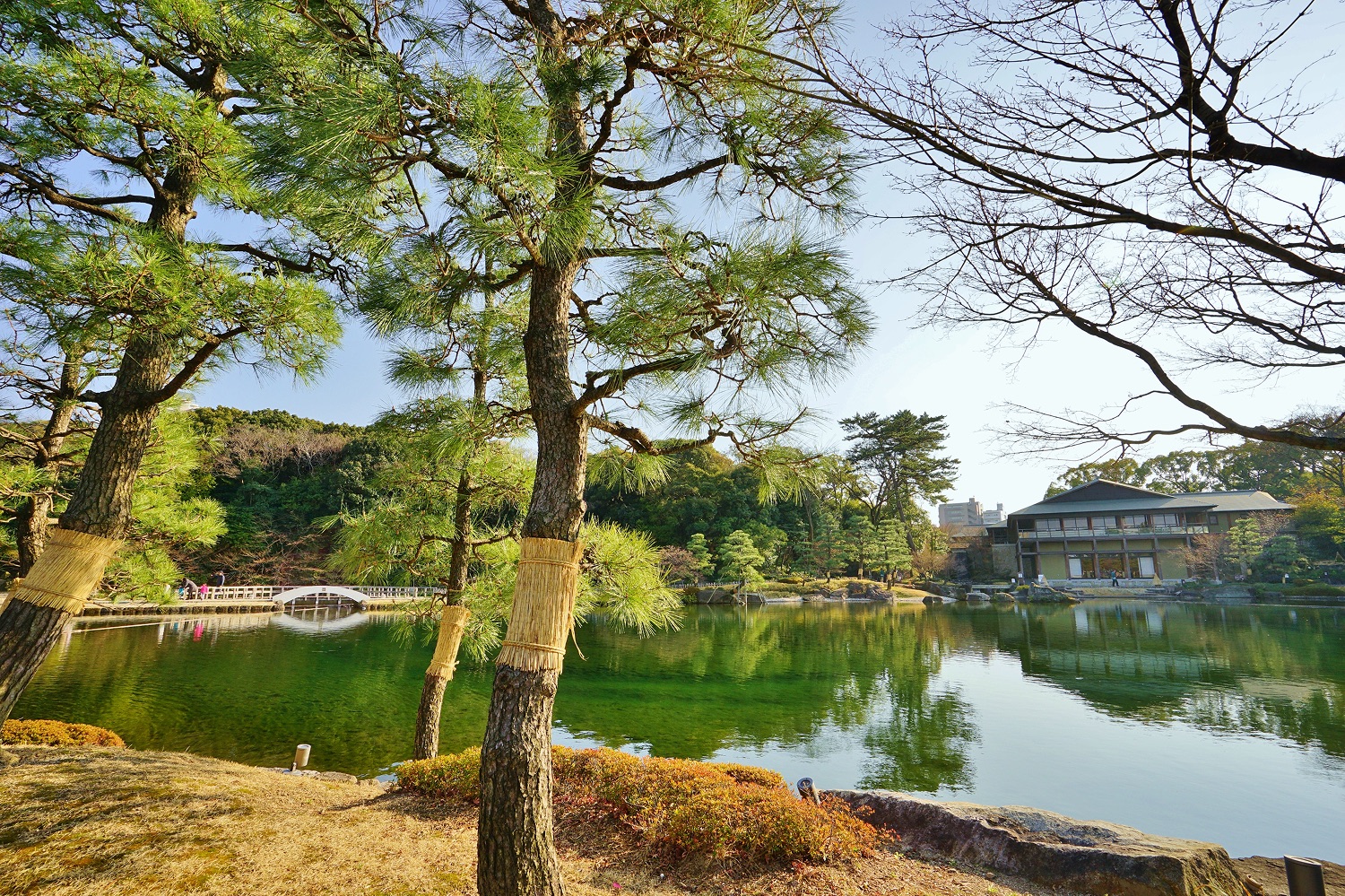德川園