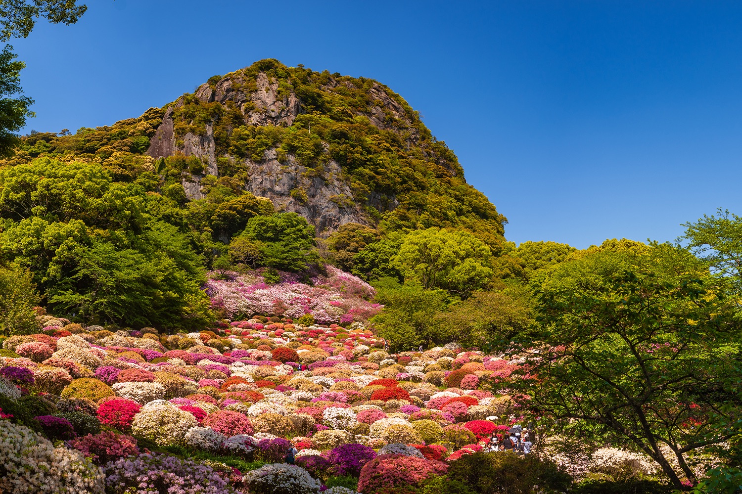 御船山樂園