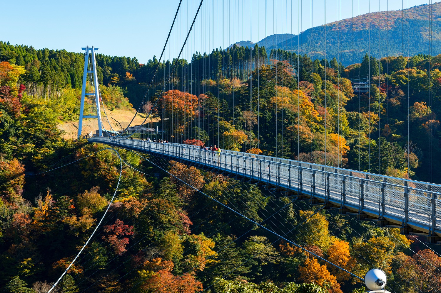 九重「夢」大吊橋