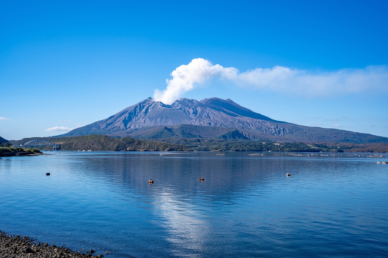 櫻島