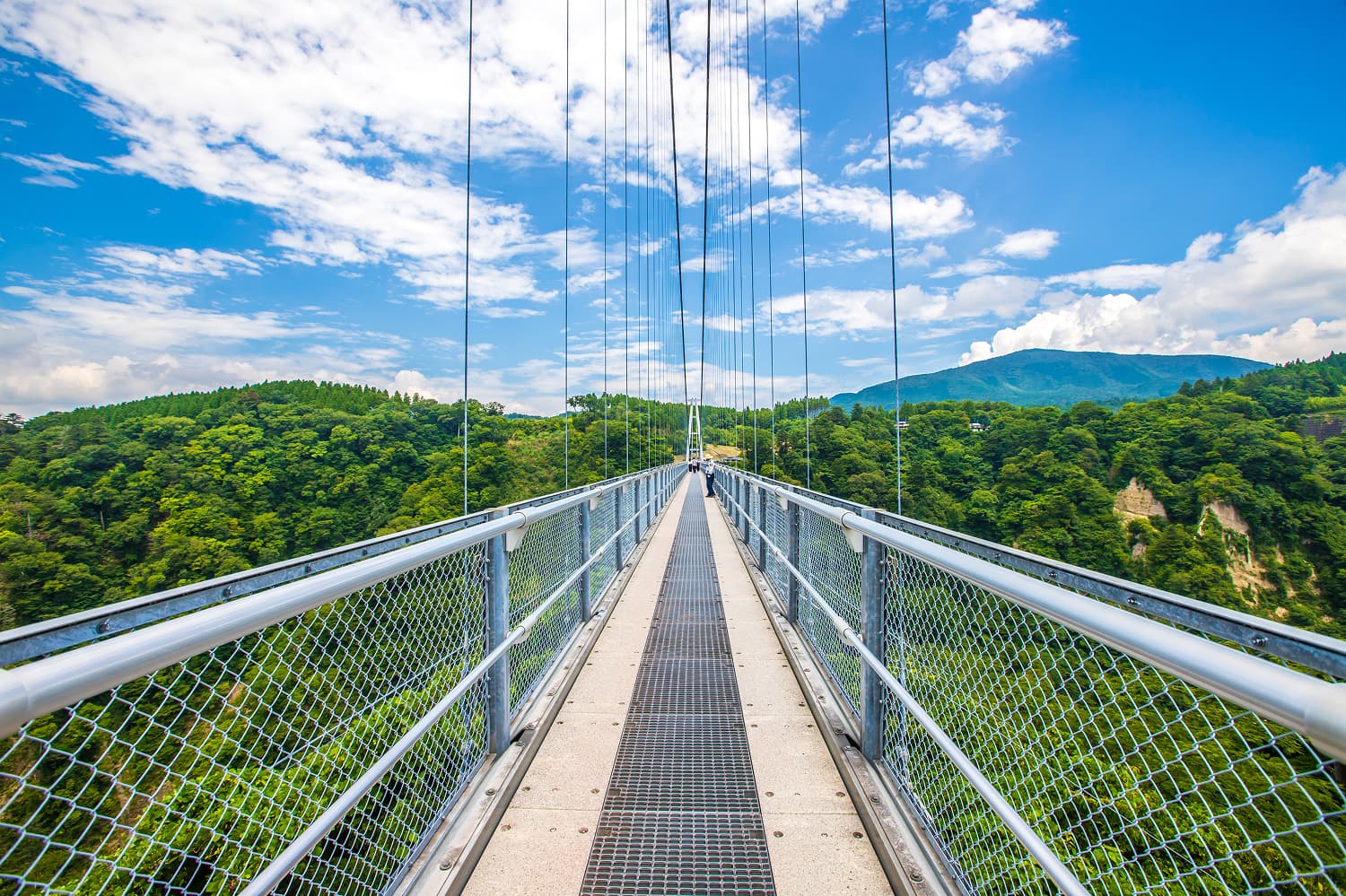Kokonoe "Dream" Suspension Bridge Mountain Cherries