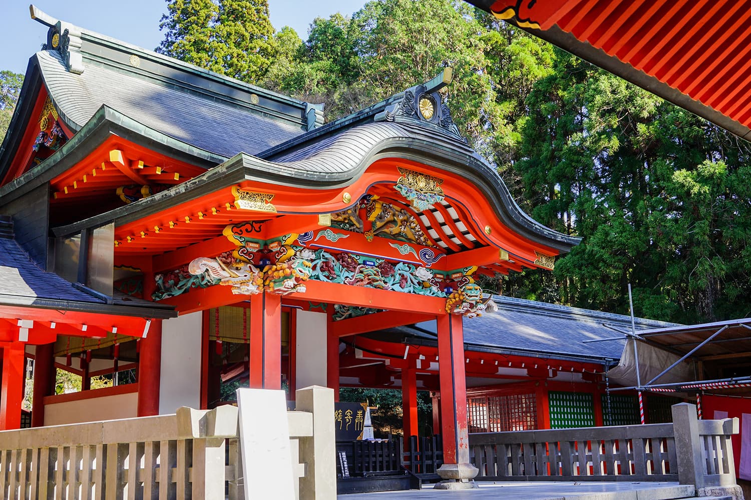 Kirishima Shrine Cherry Blossoms