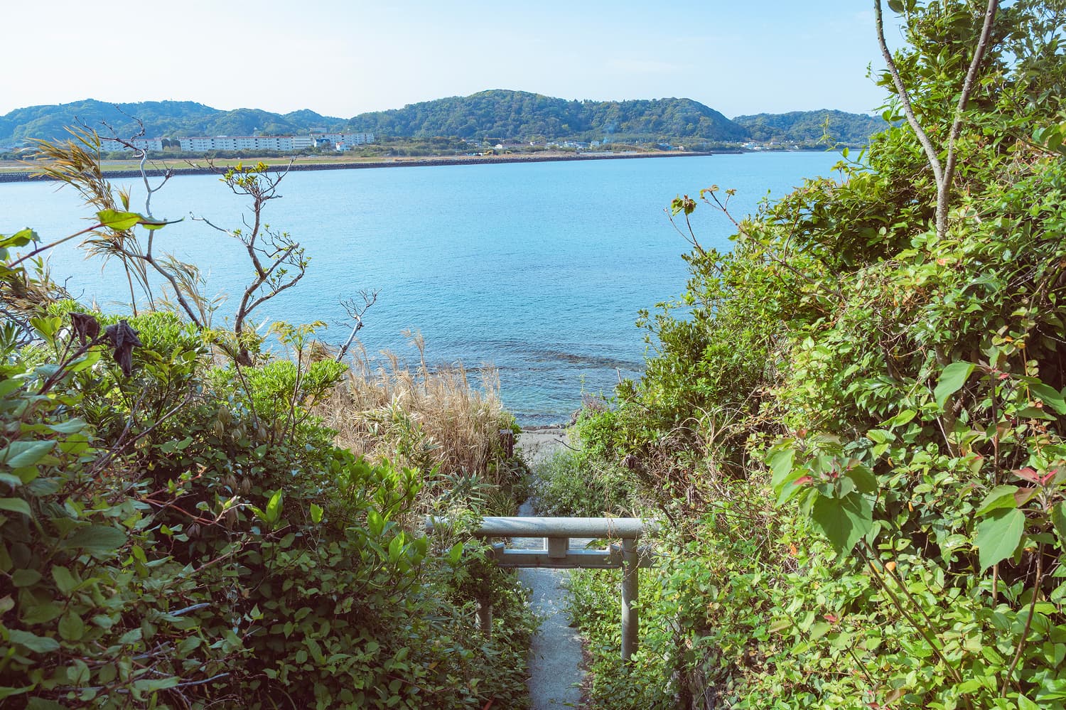 館山・沖之島的海