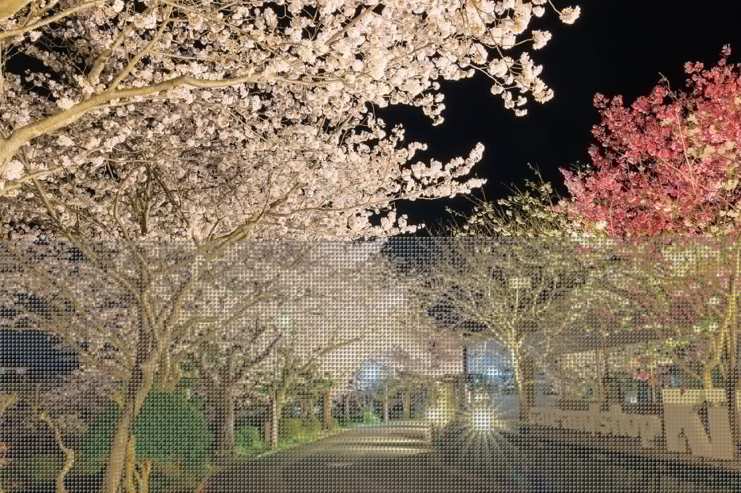 嬉野溫泉的川祭