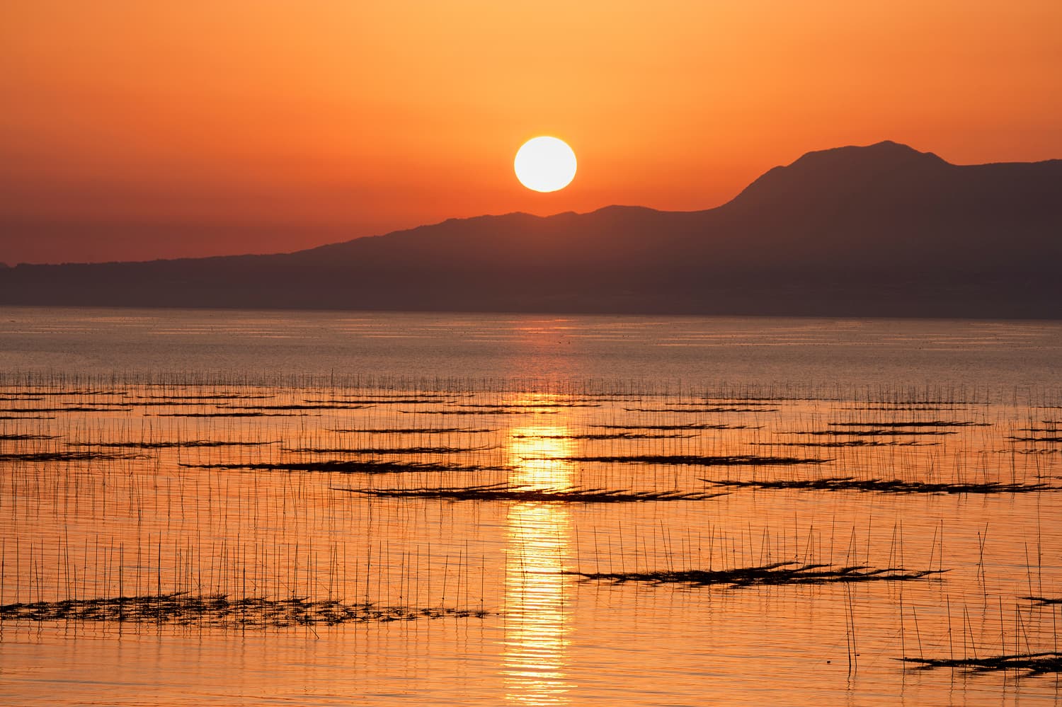 有明海的夕陽