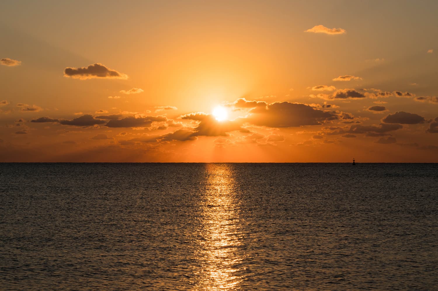 別府灣的夕陽郵輪