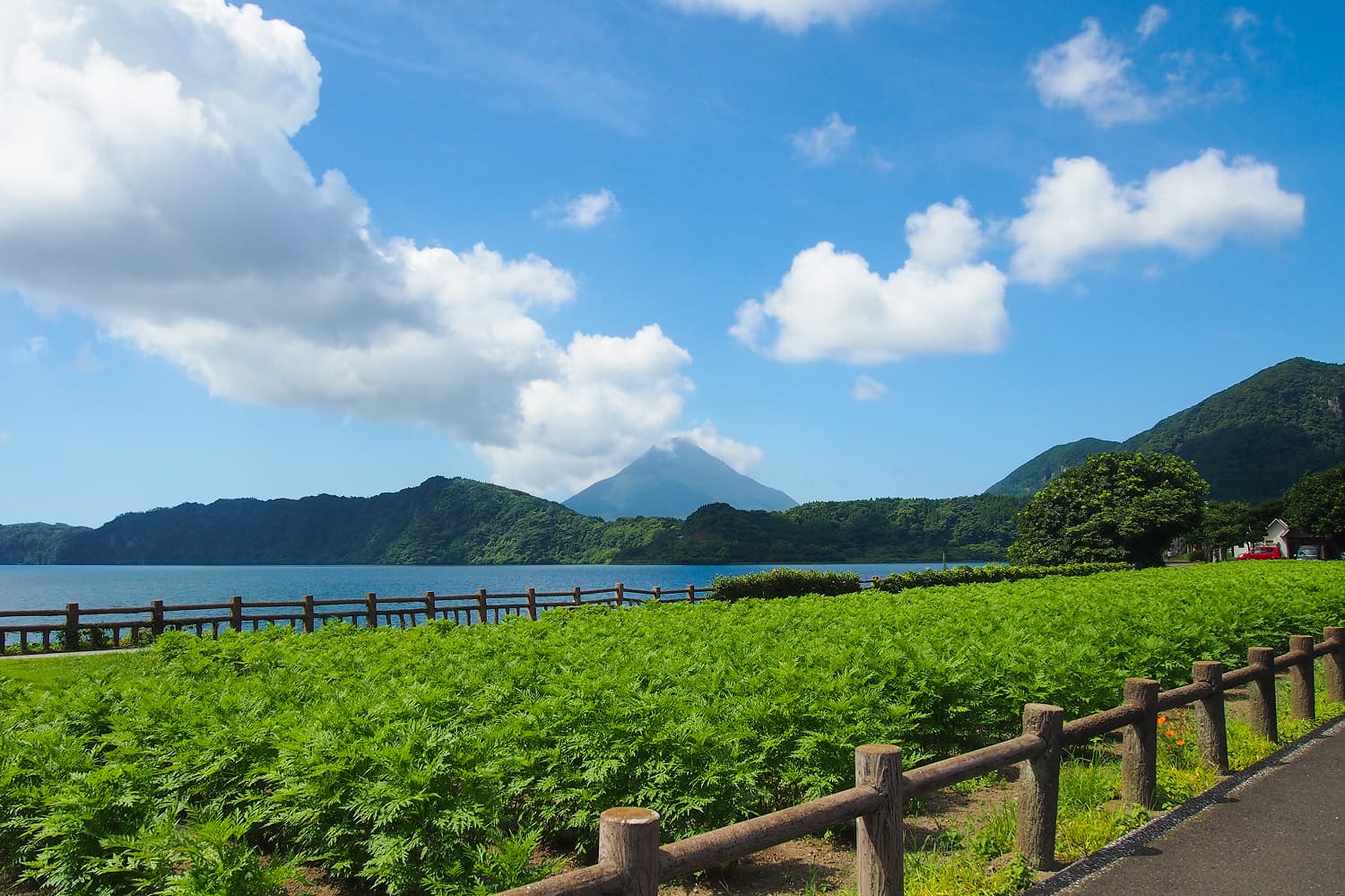 池田湖與開聞岳